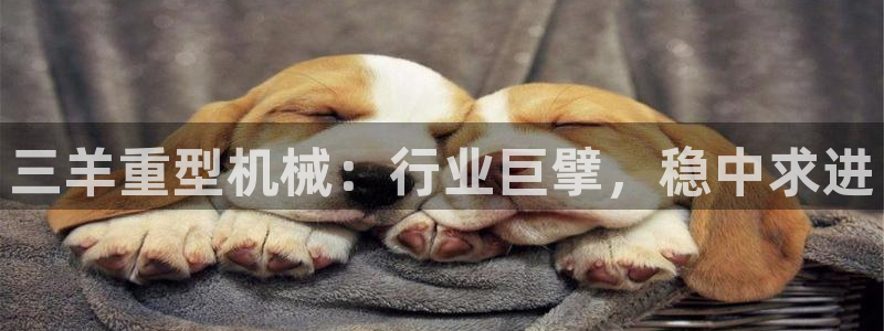 万事达娱乐网站