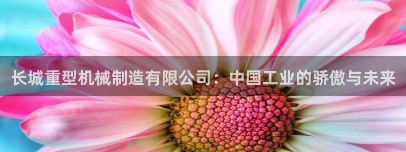 万事娱乐首页官网