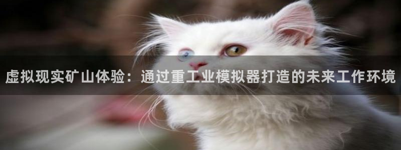 万事娱乐首页入口网址