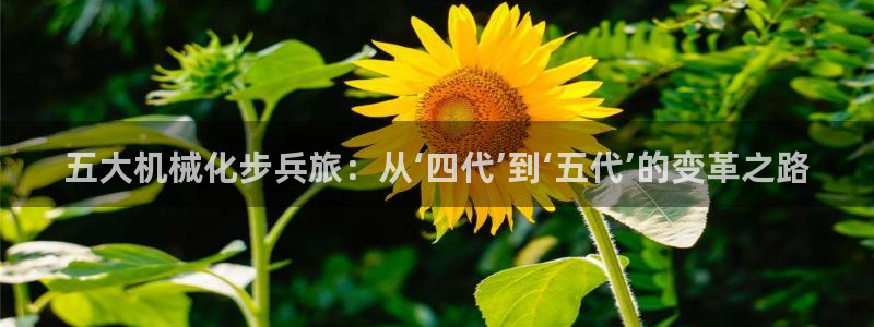 万事达娱乐设施