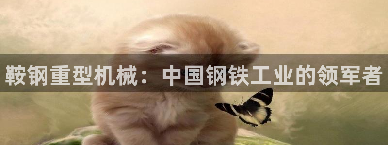 娱乐制造机万事屋